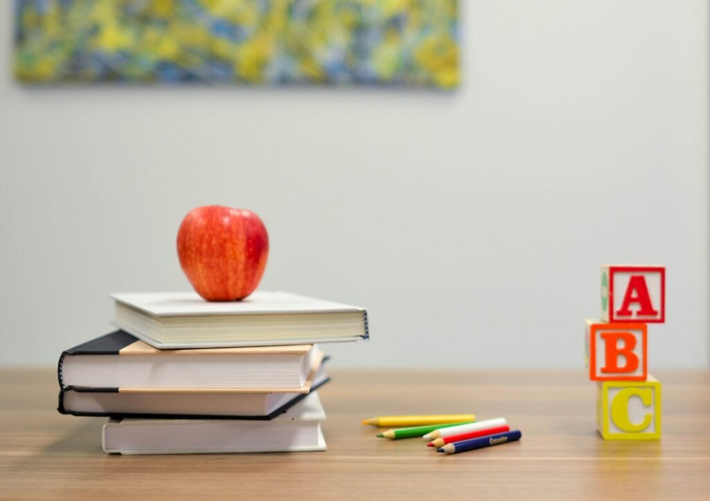 A adaptação da criança nos primeiros anos escolares e seus impactos na saúde mental