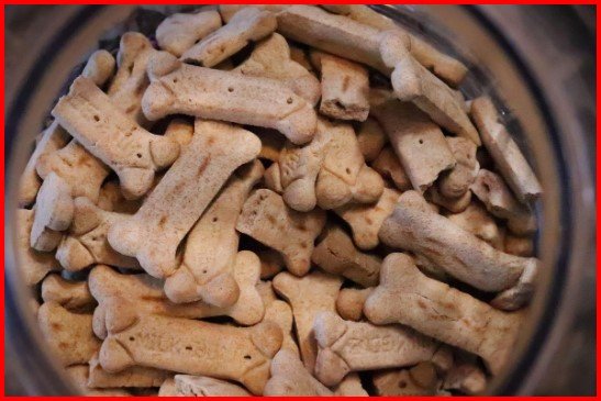 Dica funcional de petisco para treino: nutrição e comportamento alinhados.